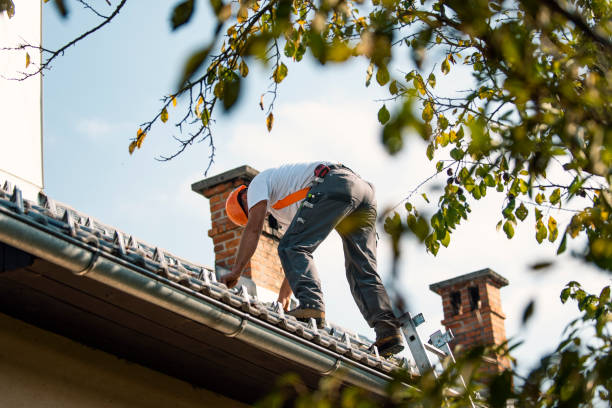 Roof Moss and Algae Removal in Sharon, WI