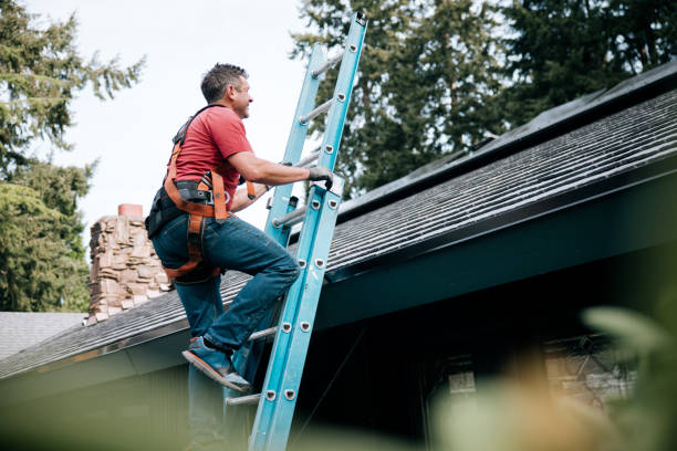 Best Steel Roofing  in Sharon, WI